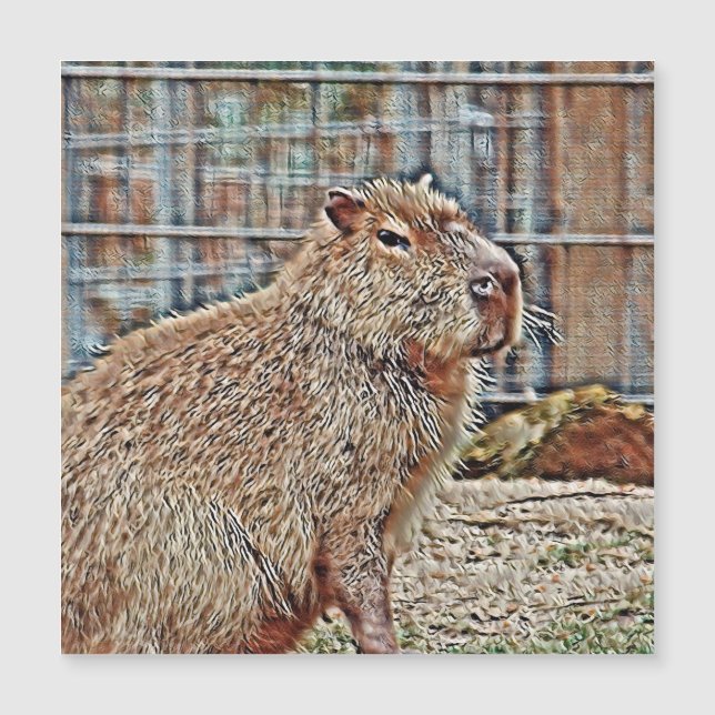 SmartMix Animal - Capybara (Frente)