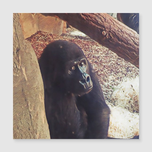 SmartMix Animal-Gorilla (Frente)