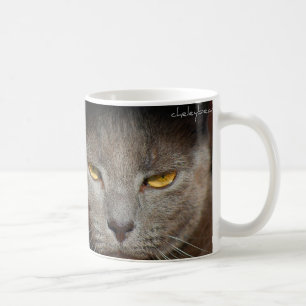 Smokey a caneca do gato