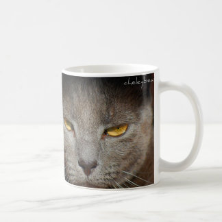 Smokey a caneca do gato