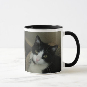 Smokey a caneca do gato
