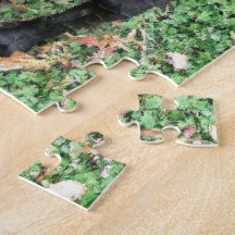 Smokey Poses para Quebra-cabeça de câmara