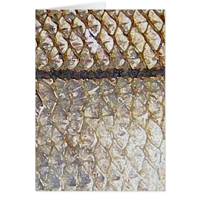 Snook - cartão (Frente)