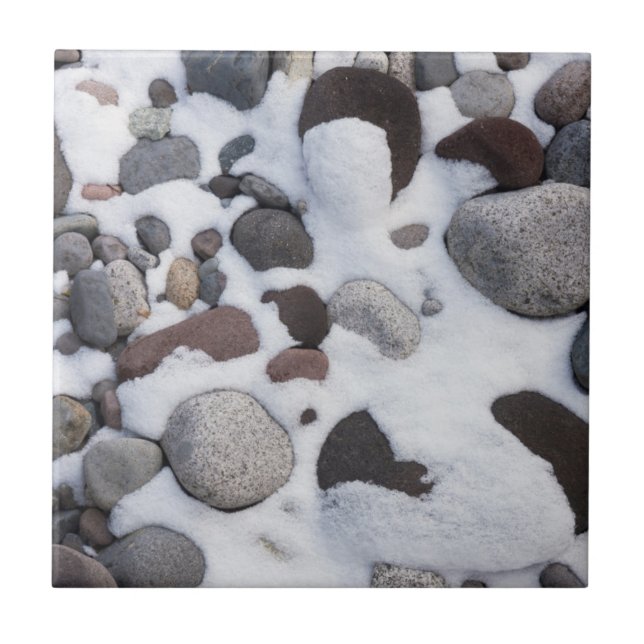 Snow And Rocks, Parque Nacional Do Monte Rainier 2 (Frente)