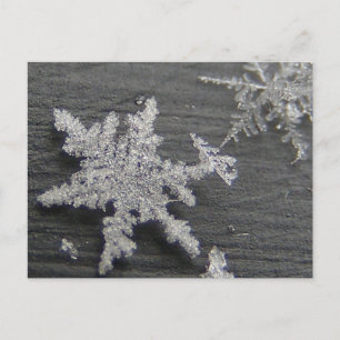 Snow Flake 45 ~ cartão postal