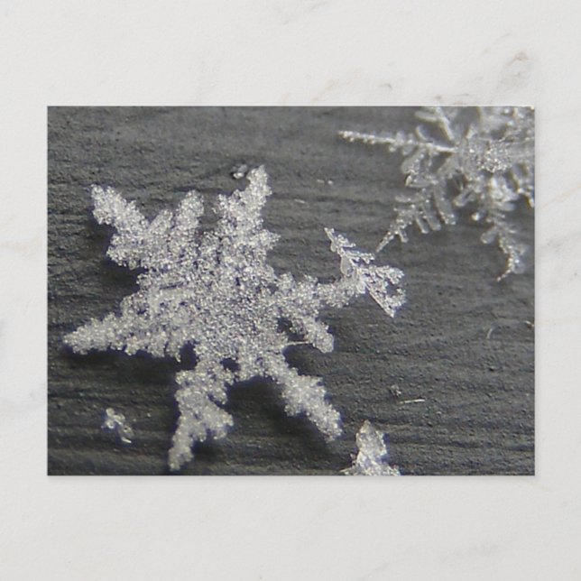 Snow Flake 45 ~ cartão postal (Frente)