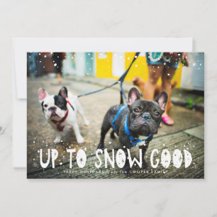 Snow Good Cartão de Natal de Foto de Pet