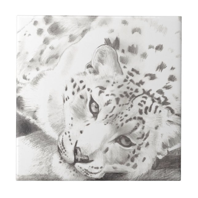 Snow Lepard (Frente)