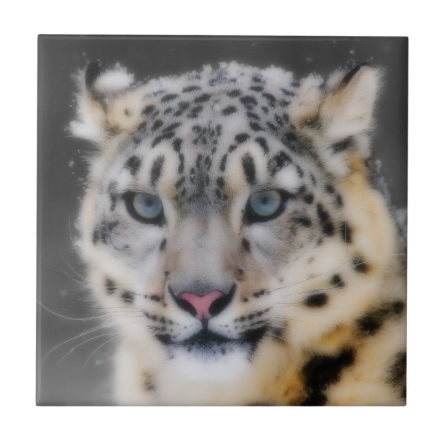 Snow Lepard (Frente)