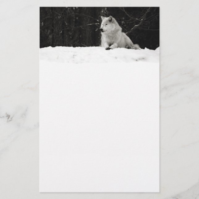 Snow Wolf (Frente)