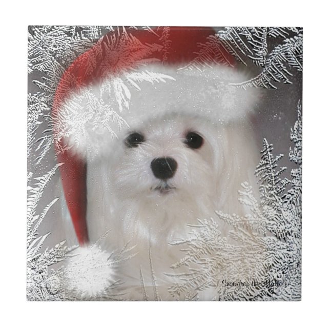 Snowdrop o azulejo decorativo maltês (Frente)