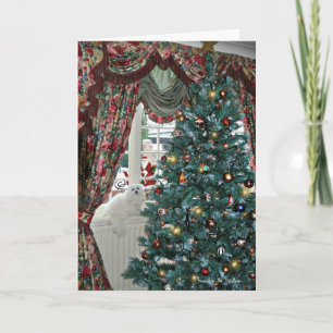 Snowdrop o Cartão de Natal Maltês