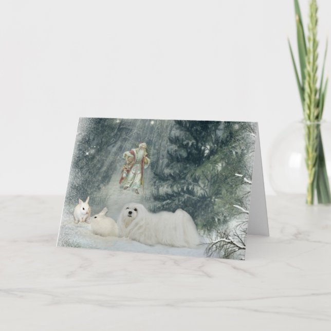 Snowdrop o Cartão de Natal Maltês (Frente)