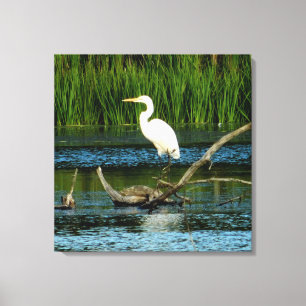 Snowy Egret no Log Canvas Print