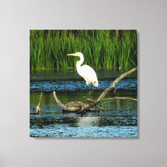 Snowy Egret no Log Canvas Print (Frente)