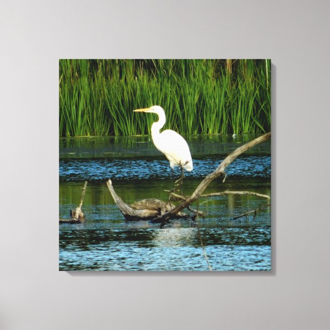 Snowy Egret no Log Canvas Print (Frente)