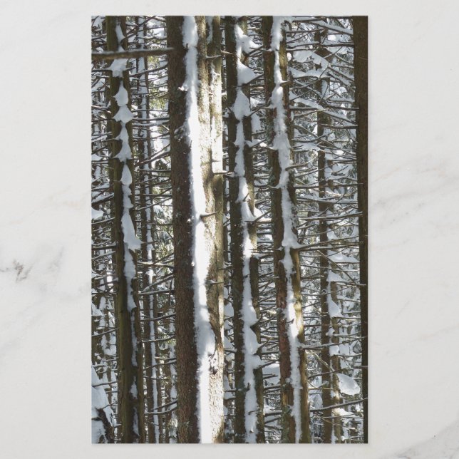 Snowy Fir Tree (Frente)