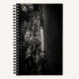 Snowy Forest at Night