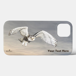 Snowy Owl
