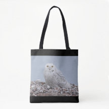 Snowy Owl em Shells Bolsa