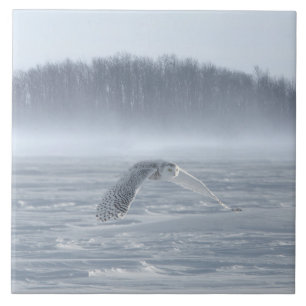 Snowy Owl Flying In Winter