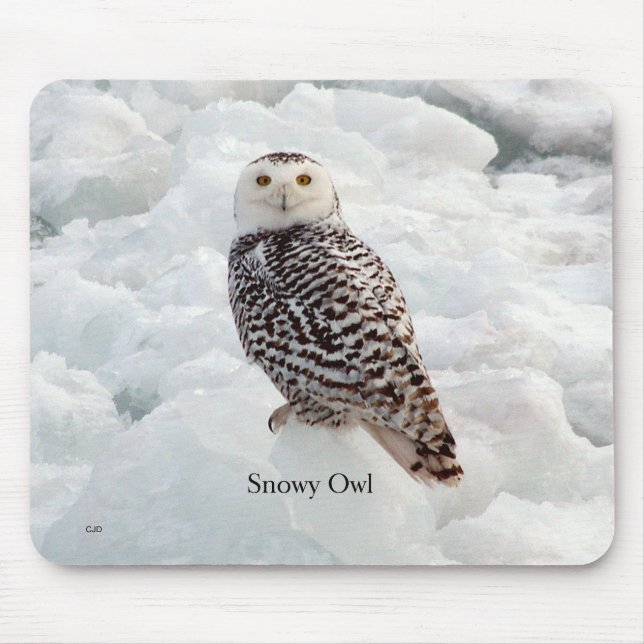 Snowy Owl Mousepad (Frente)