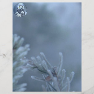 Snowy Owl no inverno