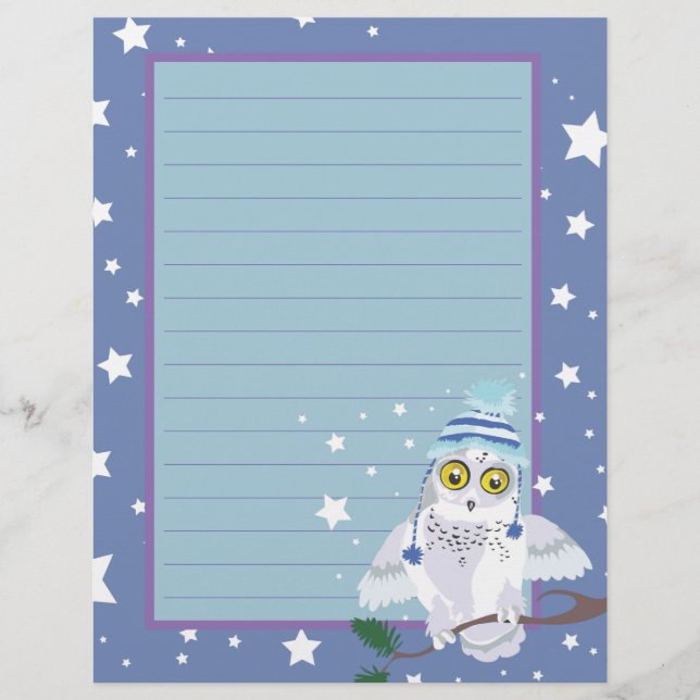 Snowy Owl~noite de inverno (Frente)