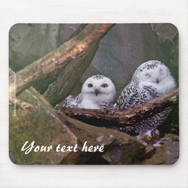 Snowy Owls Mousepad (Frente)