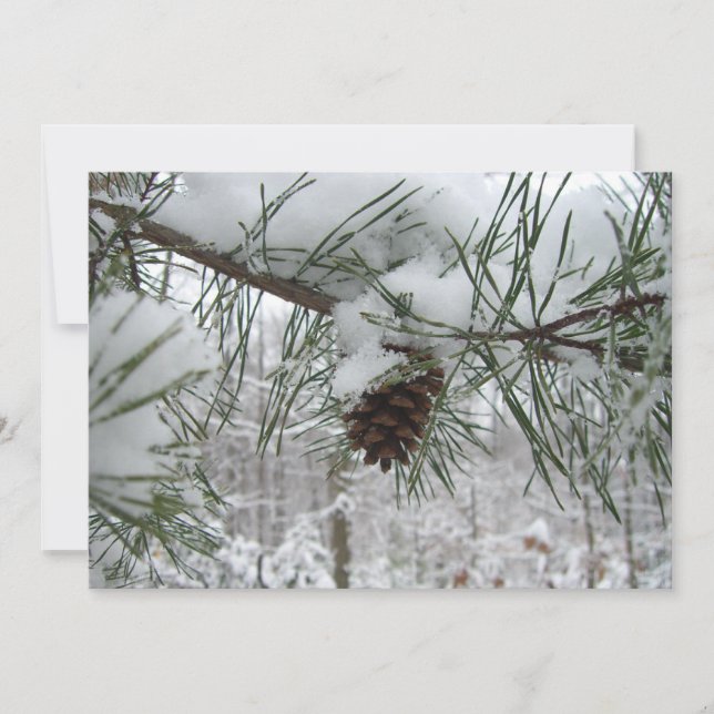Snowy Pine Branch Winter Nature Fotografia (Frente)