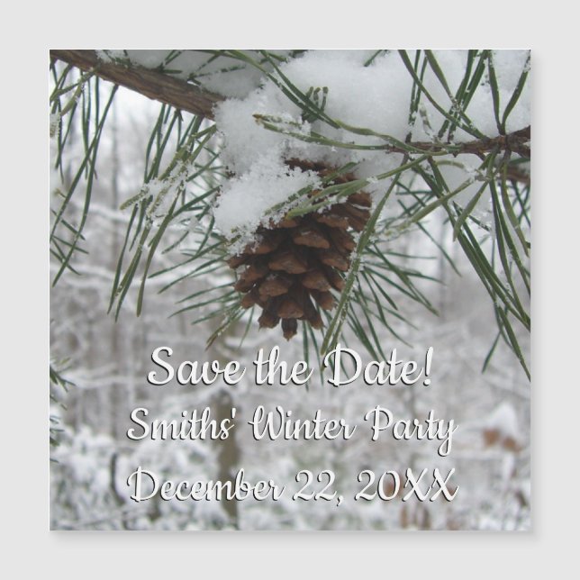 Snowy Pine Branch Winter Nature Fotografia (Frente)