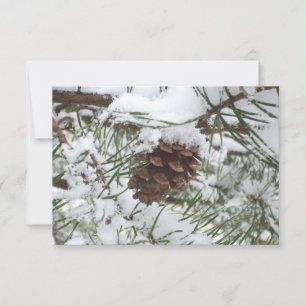 Snowy Pine Cone I Winter Nature Photoshop