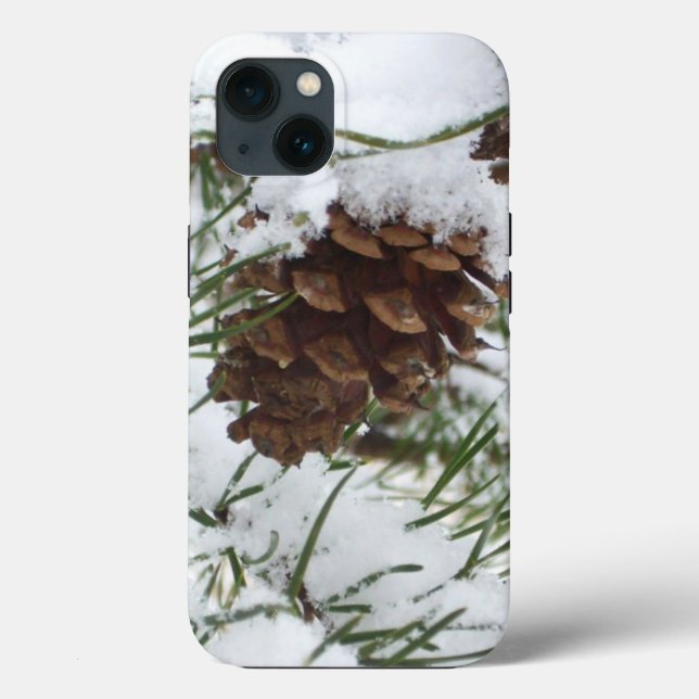 Snowy Pine Cone I Winter Nature Photoshop (Verso)