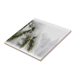 Snowy Pines