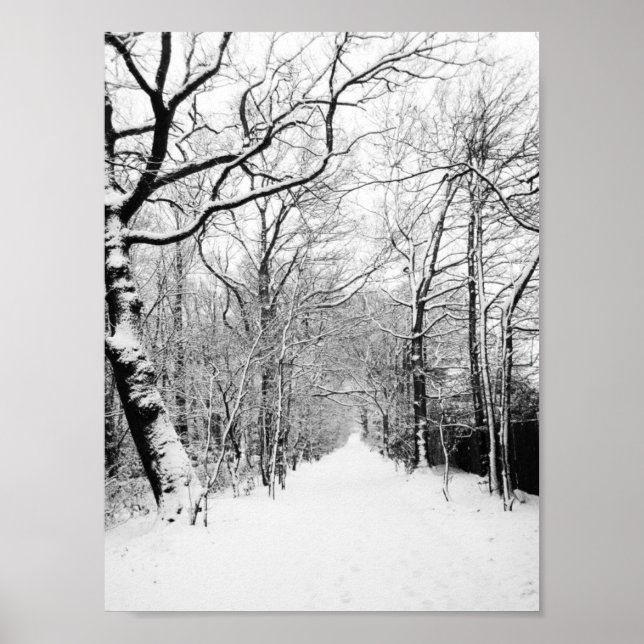 Snowy Road Poster (Frente)