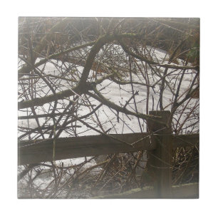 Snowy Woods