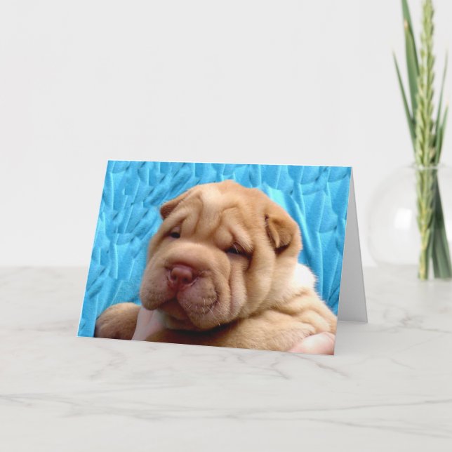 Snuggle me cartão (Frente)