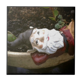 Só Chillin, Um Gnomo De Jardim