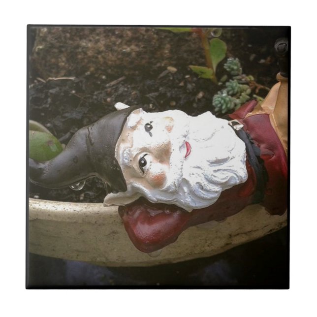 Só Chillin, Um Gnomo De Jardim (Frente)