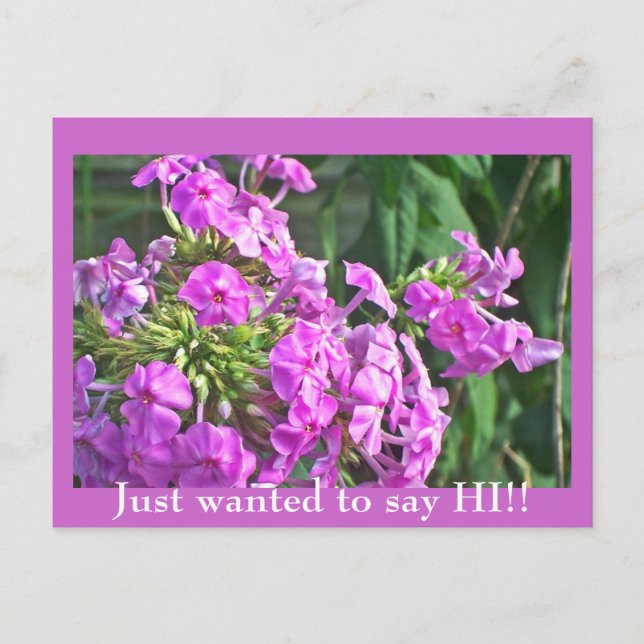 Só queria dizer OI! Cartão Postal (Frente)