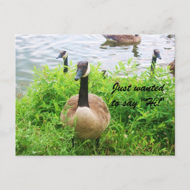 SÓ QUERIA DIZER "OI!" cartão postal (Frente)