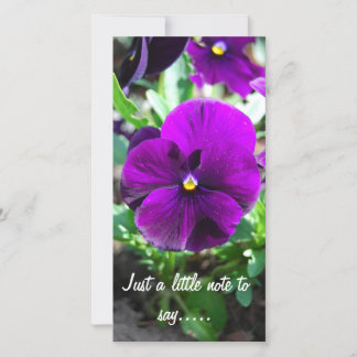 Só uma pequena nota para dizer....