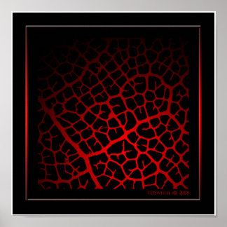 So Vein Poster