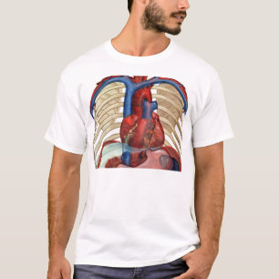 Sob a camisa