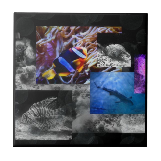 Sob o azulejo do mar (Frente)