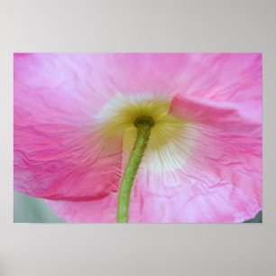 Sob O Impressão De Arte Fotográfica
