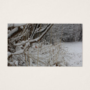 Sob um cobertor de neve