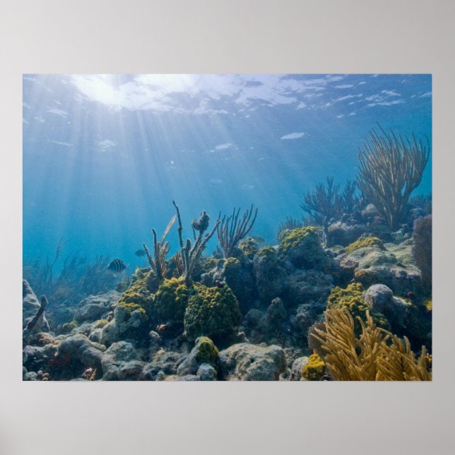 Sob Water Biscayne NP Poster (Frente)