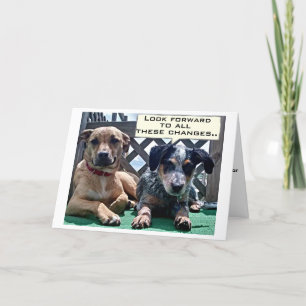 SOBRE A COLINA / O QUE VOCÊ PODE ESPERAR DO CARTÃO