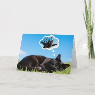 Sobre o que os gatos sonham! Cartão